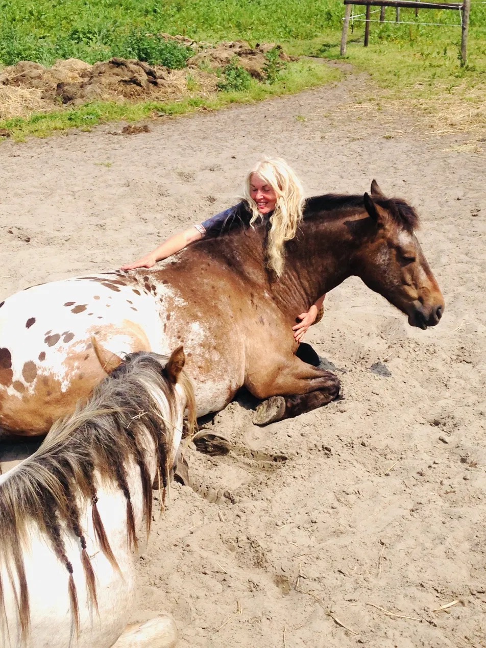 Angelique with the horses, in the early days in the Netherlands