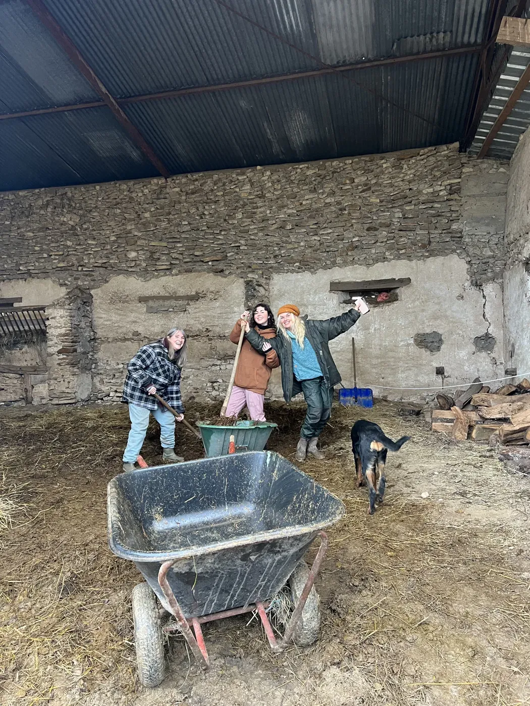 People working together at the sanctuary