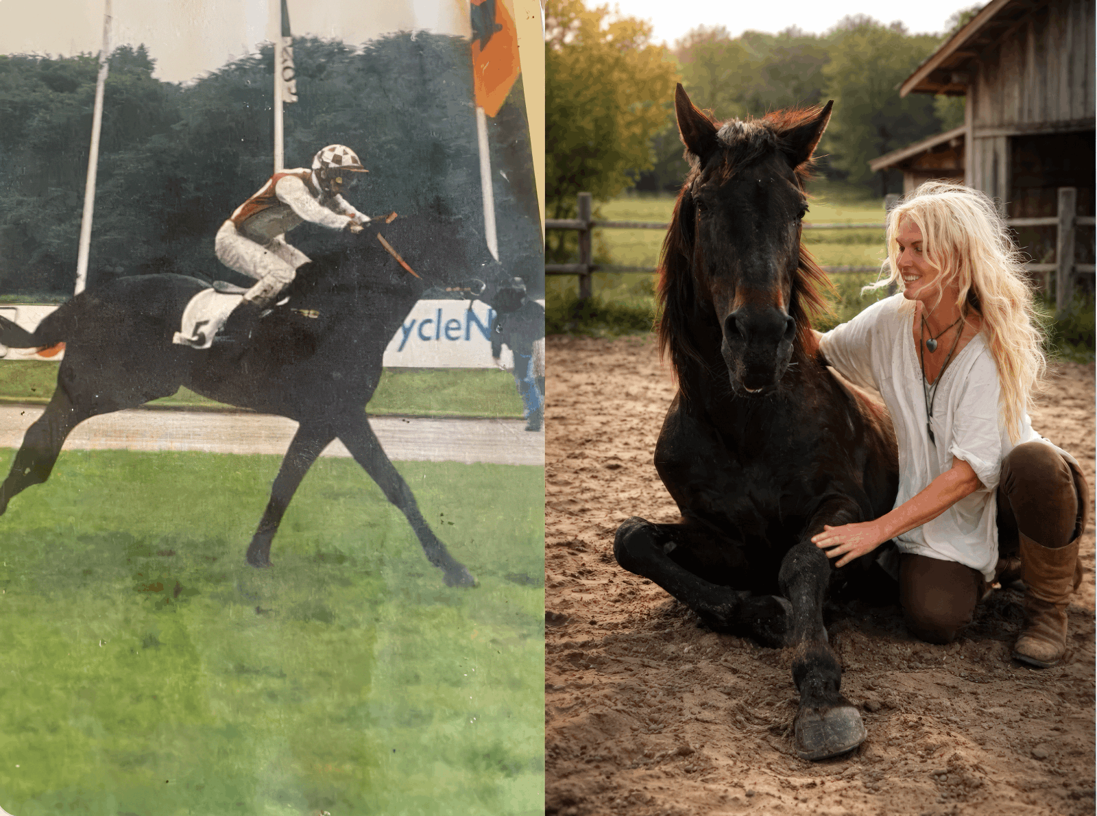 Stormy as a young race winner on the left, and years later with Angelique on the French domain on the right